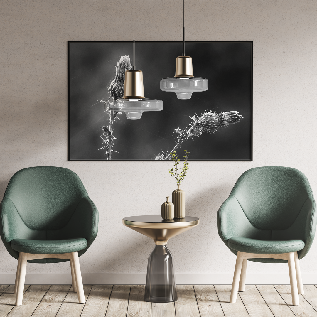 Los cardos - Image 2