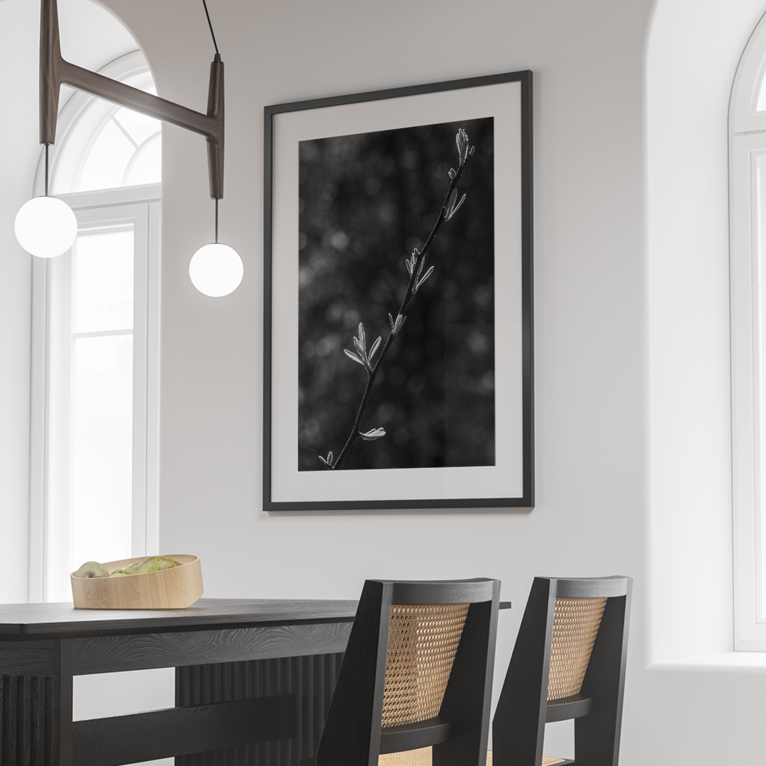 Lo que asciende - Image 2