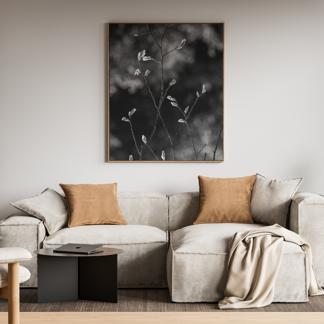 Dulzura silvestre - Image 2