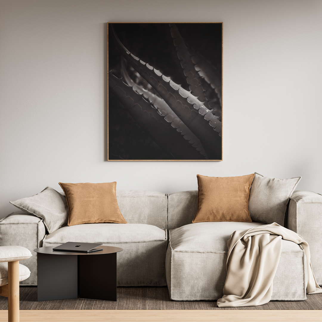 Ánimas del desierto - Image 2