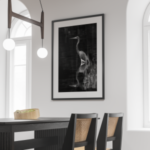 Serenidad en el río