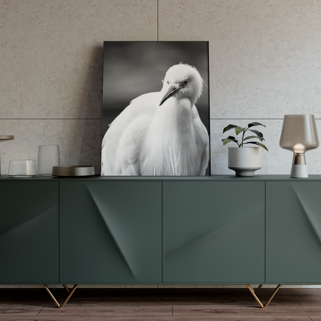 Blanca quietud - Image 2