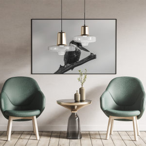 Vigilando su espacio