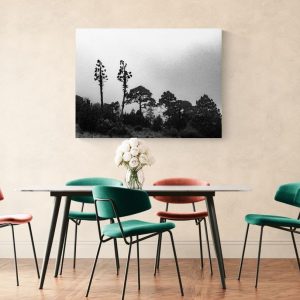 Vigilia en el bosque