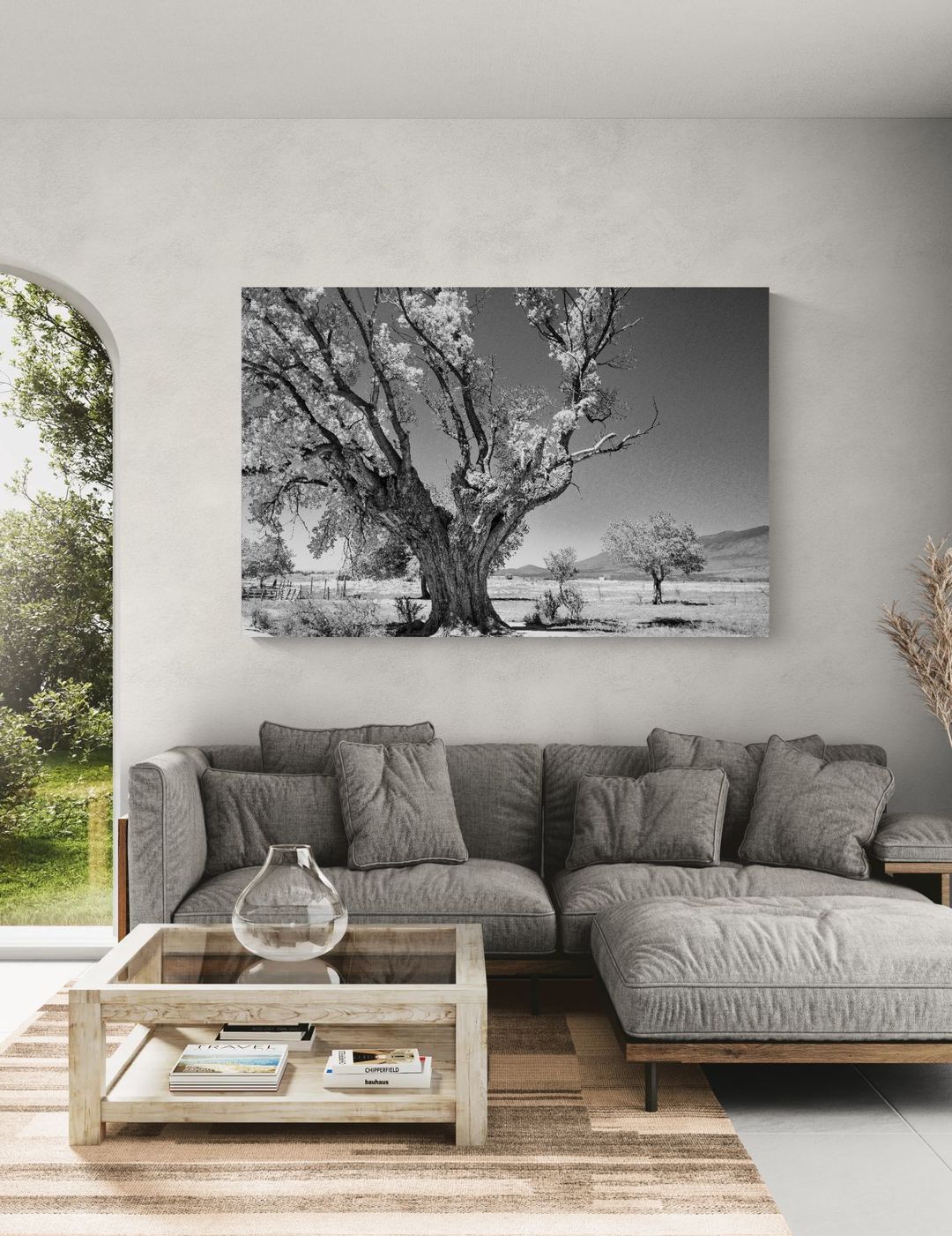 Testigo de sequías - Image 2