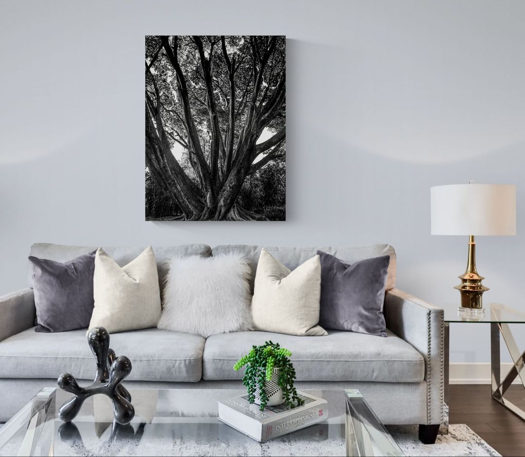 Grandeza arbórea - Image 2