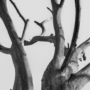 Geometría del tiempo