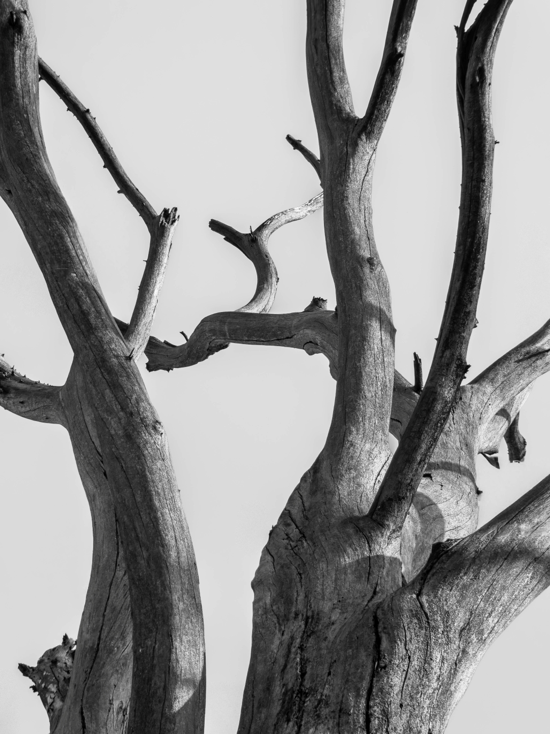 Geometría del tiempo