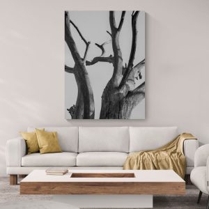 Geometría del tiempo