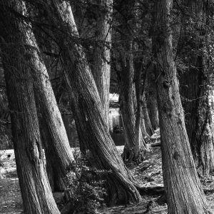 A la orilla del río