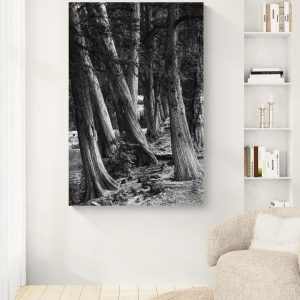 A la orilla del río