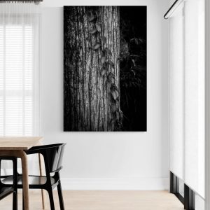 Memoria en la corteza