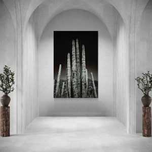 Guardianes del desierto