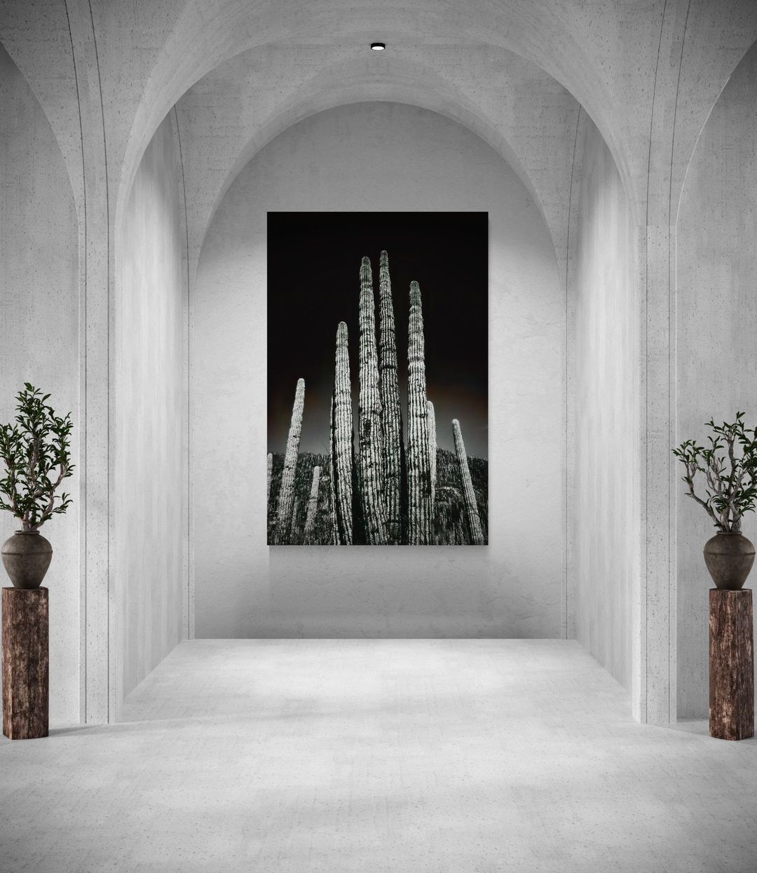 Guardianes del desierto - Image 2