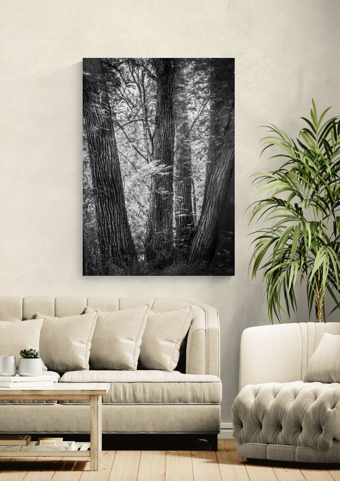 Columnas del bosque - Image 2