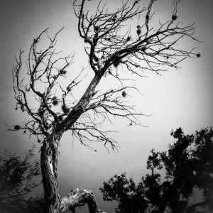 Arquetipo del tiempo