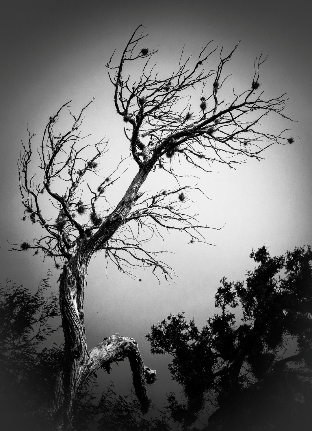 Arquetipo del tiempo