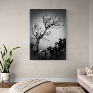 Arquetipo del tiempo