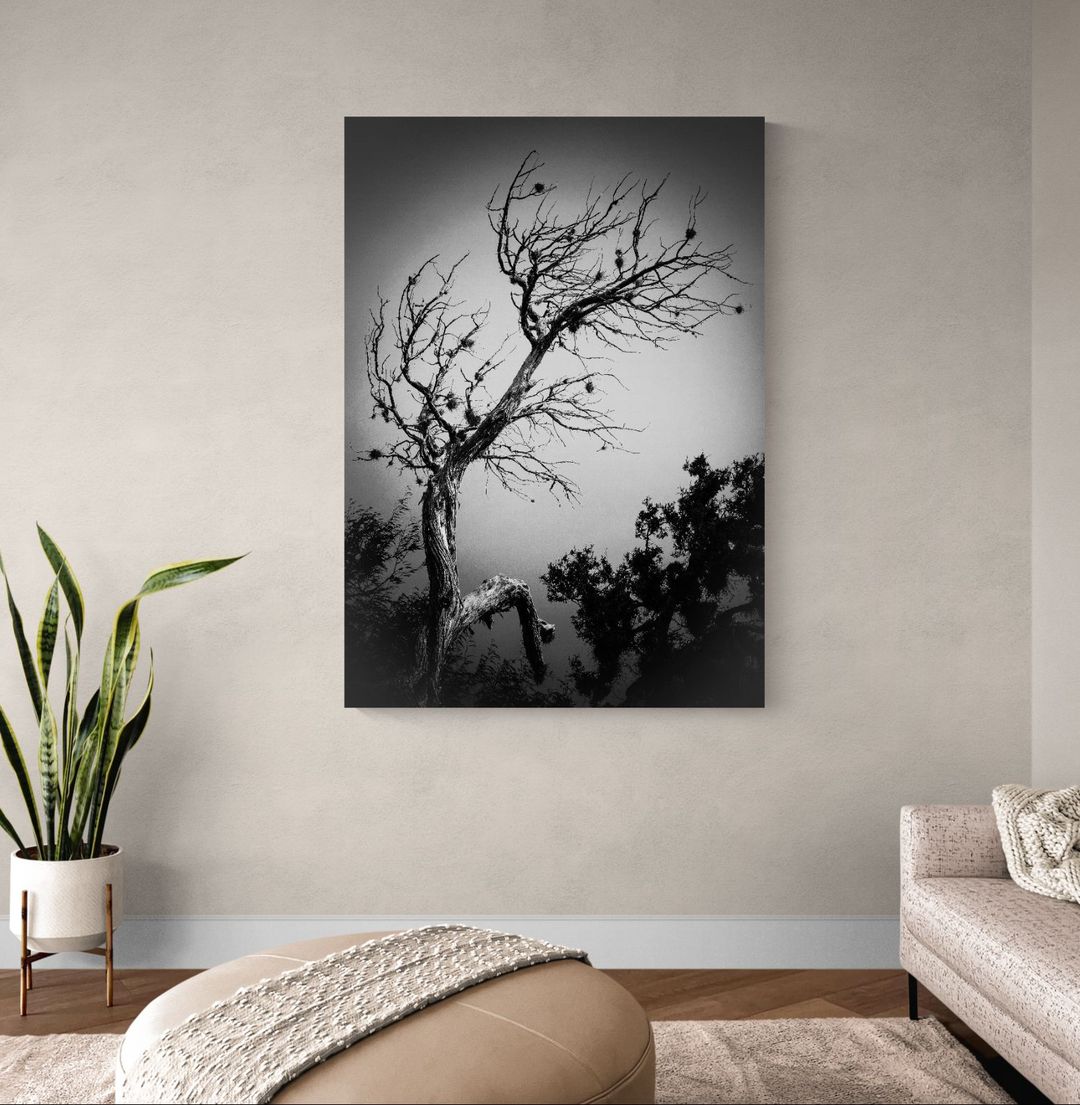 Arquetipo del tiempo - Image 2